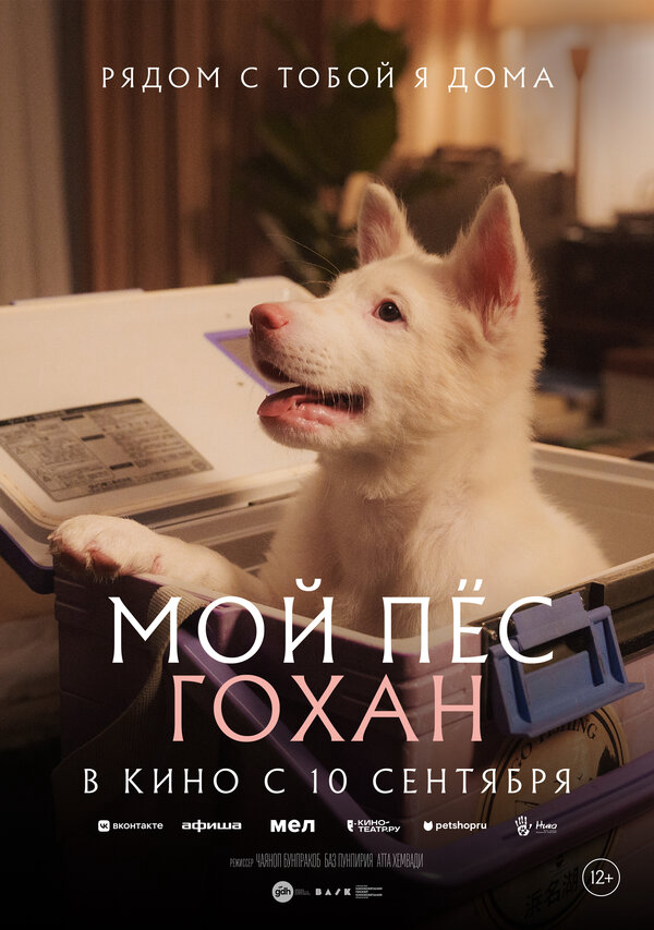 Мой пёс Гохан - постер